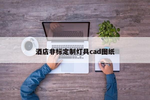 酒店非标定制灯具cad图纸